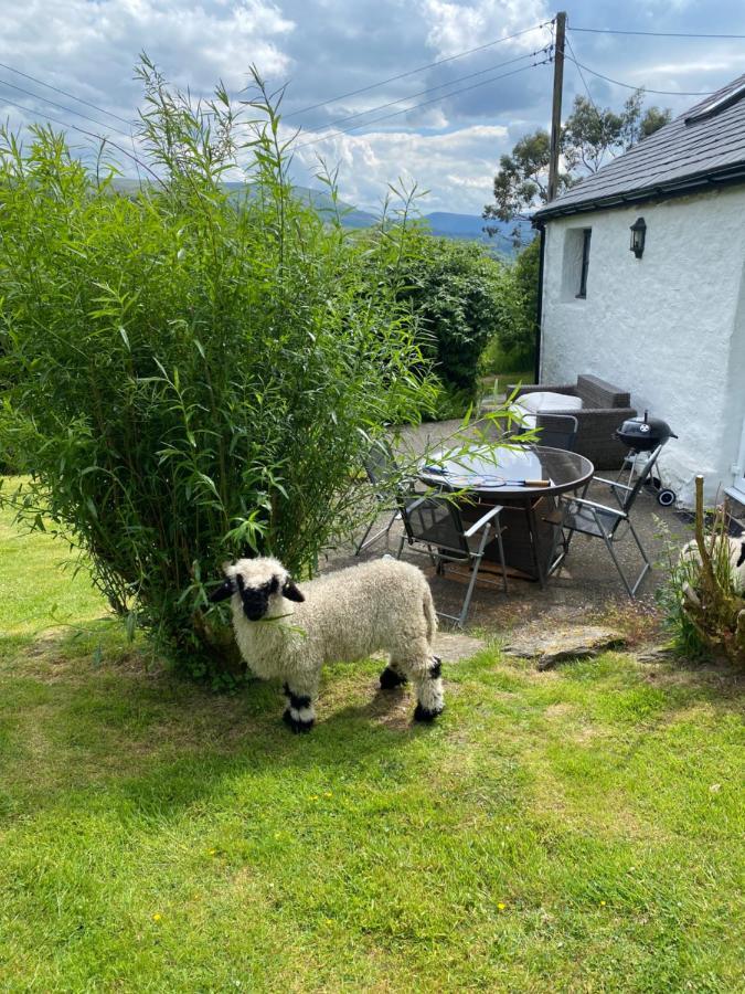 Fron Goch Cottage Dolwyddelan Екстер'єр фото